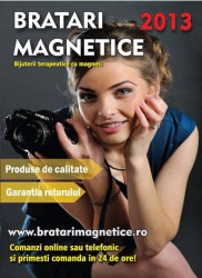 Catalog prezentare produse magnetice 2013